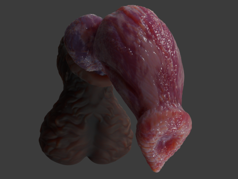 Fantasy Thain Werewolf Penis Rigged Lowpoly and Highpoly 3D मॉडल