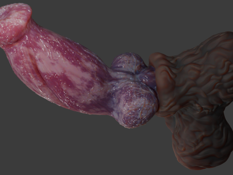 Fantasy Thain Werewolf Penis Rigged Lowpoly and Highpoly 3D मॉडल