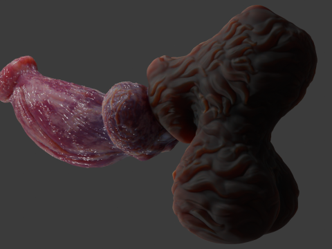 Fantasy Thain Werewolf Penis Rigged Lowpoly and Highpoly 3D मॉडल