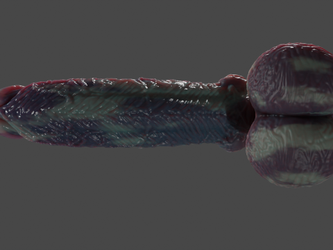 Xanath Alien Penis and Balls Rigged 3D Model