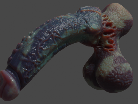 Xanath Alien Penis and Balls Rigged 3D Model