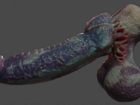 Xanath Alien Penis and Balls Rigged 3D Model