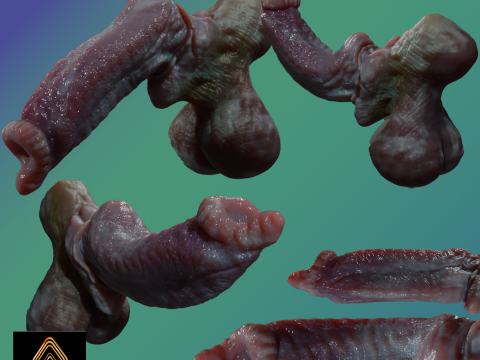 Fantasy Dorg Demon Dog Penis Rigged 3D 모델
