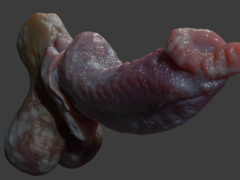 Fantasy Dorg Demon Dog Penis Rigged 3D Modell