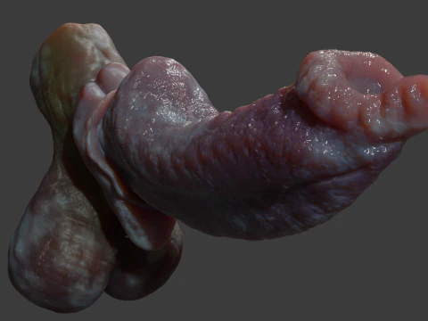 Fantasy Dorg Demon Dog Penis Rigged 3D Model