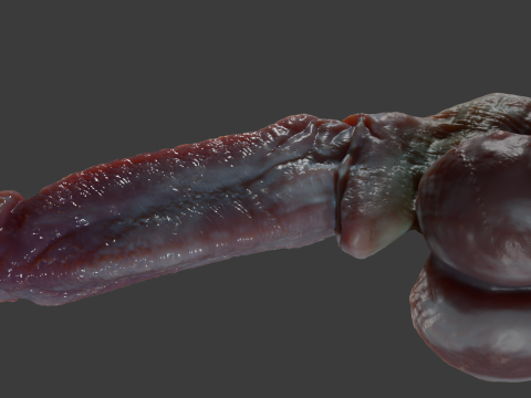 Fantasy Dorg Demon Dog Penis Rigged 3D Modell