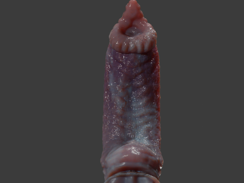Fantasy Dorg Demon Dog Penis Rigged 3D Modell