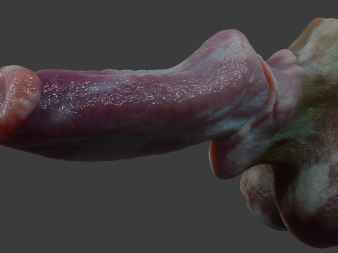 Fantasy Dorg Demon Dog Penis Rigged 3D Modell