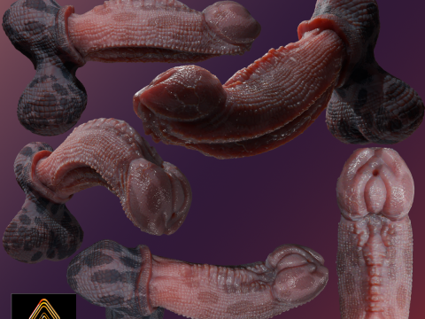 Fantasy Diragan Dragon Penis Rigged 3D Model