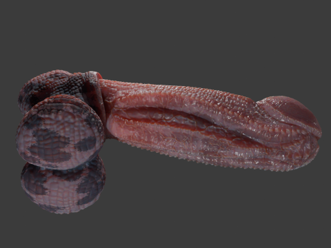 Fantasy Diragan Dragon Penis Rigged 3D Model