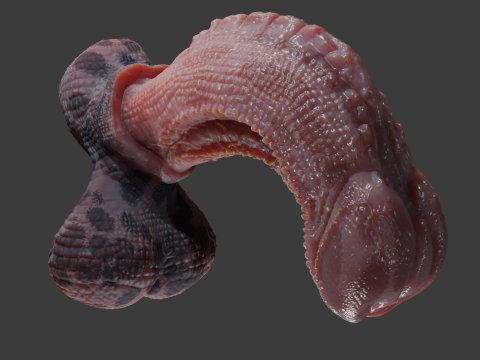 Fantasy Diragan Dragon Penis Rigged 3D Model