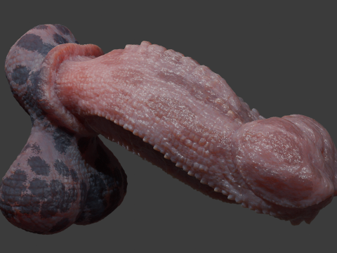 Fantasy Diragan Dragon Penis Rigged 3D Model