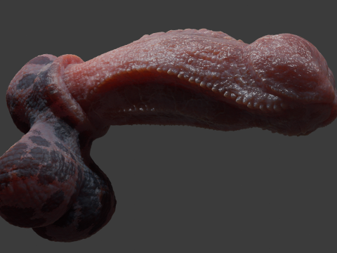 Fantasy Diragan Dragon Penis Rigged 3D Model