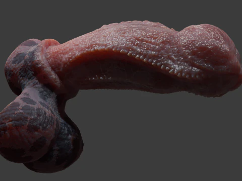 Fantasy Diragan Dragon Penis Rigged 3D Model