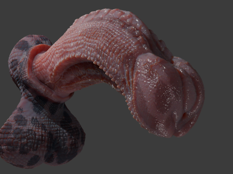 Fantasy Diragan Dragon Penis Rigged 3D Model