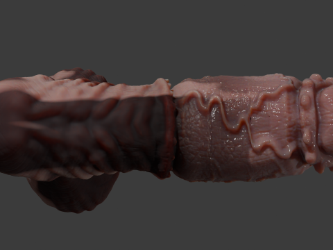 Fantasy Taurus Monster Bull Penis Sextoy Rigged 3Dモデル