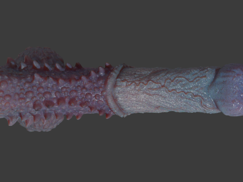 Fantasy Goju Dragon Penis Sextoy Rigged 3D Model