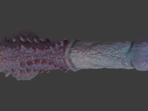 Fantasy Goju Dragon Penis Sextoy Rigged 3D Model