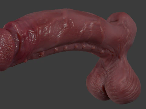 Devil Monster Penis Lowpoly and Highpoly 3D Model