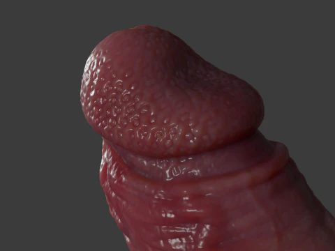 Devil Monster Penis Lowpoly and Highpoly 3D Model