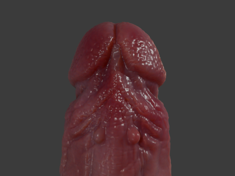 Pene del mostro del diavolo Lowpoly e Highpoly Modello 3D