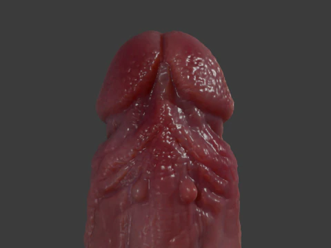 Devil Monster Penis Lowpoly and Highpoly 3D Model