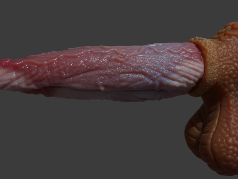 Fantasy Graham Dragon Penis Sextoy manipuliert 3D Modell