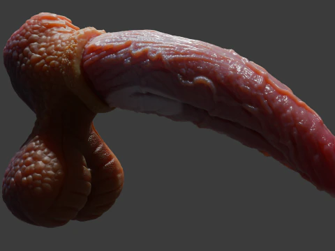 Fantasy Graham Dragon Penis Sextoy Rigged 3D Model