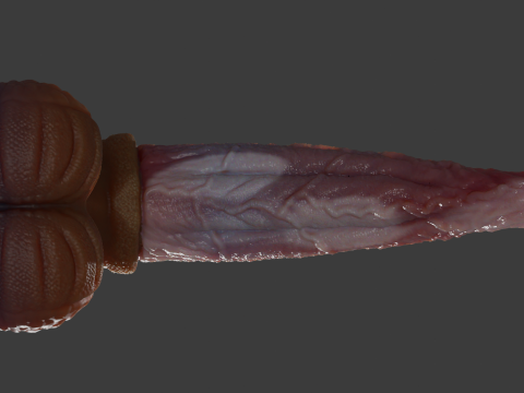 Fantasy Graham Dragon Penis Sextoy manipuliert 3D Modell