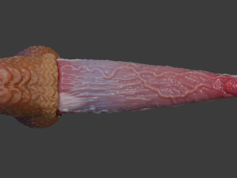 Fantasy Graham Dragon Penis Sextoy Rigged 3D Model