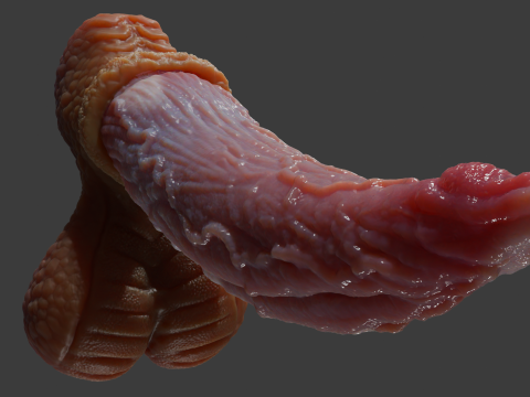 Fantasy Graham Dragon Penis Sextoy manipuliert 3D Modell