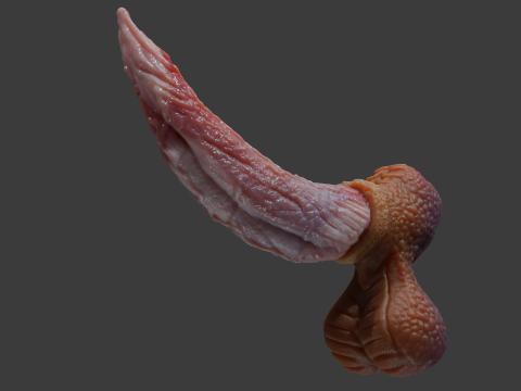 Fantasy Graham Dragon Penis Sextoy manipuliert 3D Modell
