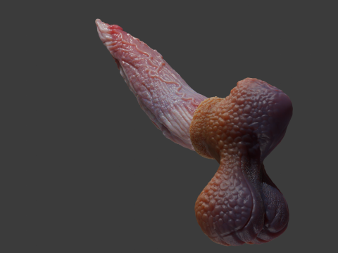 Fantasy Graham Dragon Penis Sextoy manipuliert 3D Modell