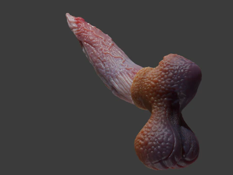 Fantasy Graham Dragon Penis Sextoy Rigged 3D Model