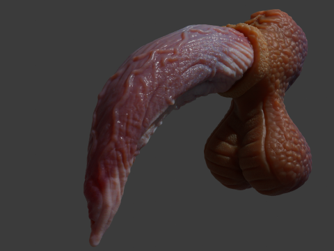 Fantasy Graham Dragon Penis Sextoy manipuliert 3D Modell