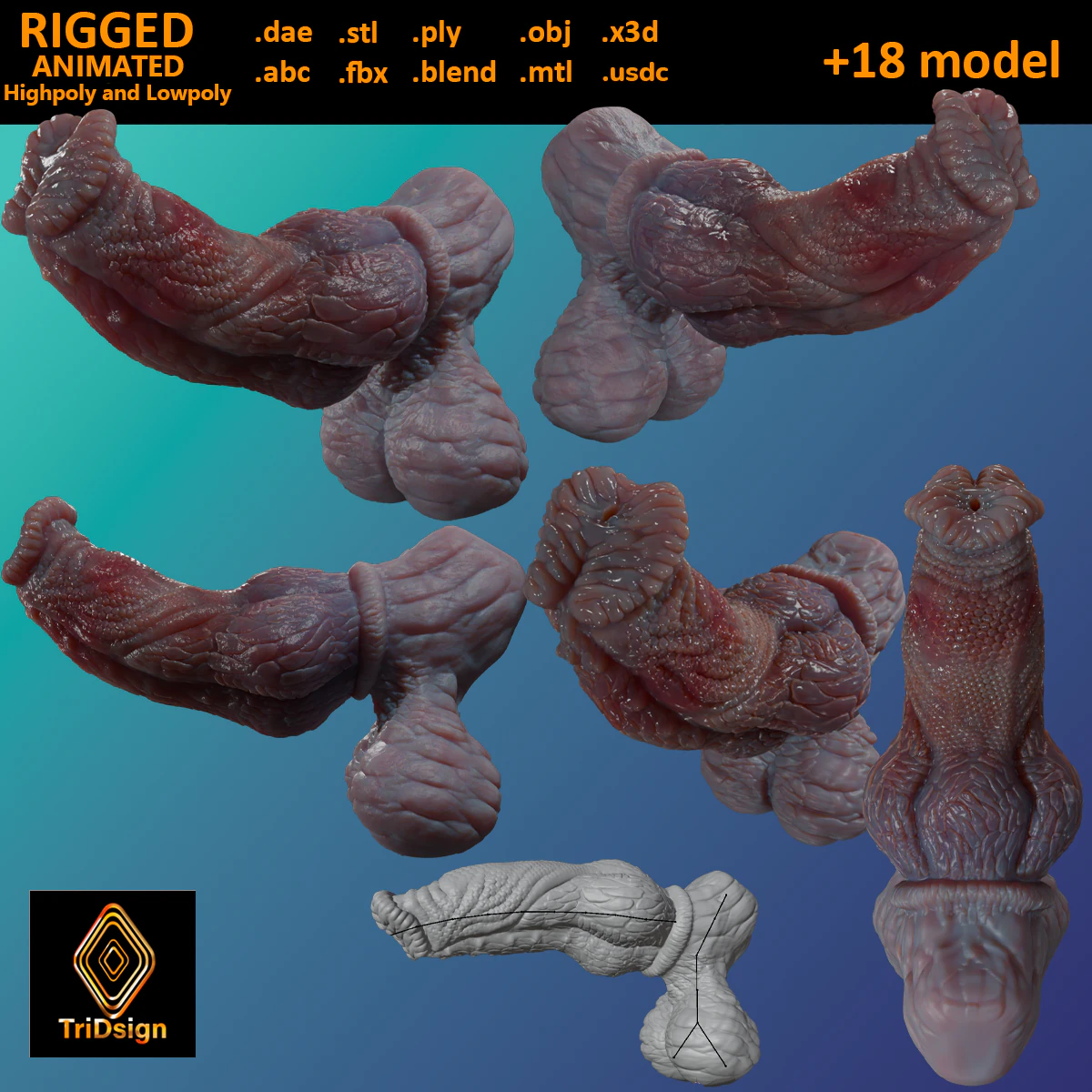 Fantasy Pathrax Dragon Penis Sextoy Rigged 3D Model .c4d .max .obj .3ds .fbx .stl .blend