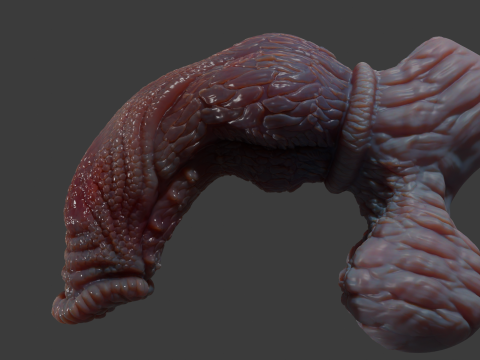 Fantezi Pathrax Ejderha Penis Seks Oyuncakları Arma 3D Model