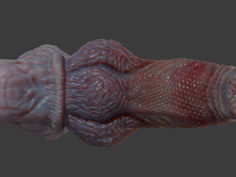 Fantezi Pathrax Ejderha Penis Seks Oyuncakları Arma 3D Model