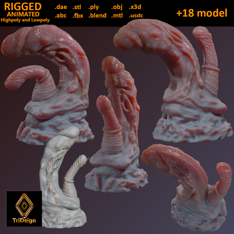 Fantasy Pathrax Dragon Penis Sextoy Rigged Model 3D .c4d .max .obj .3ds .fbx .stl .blend 