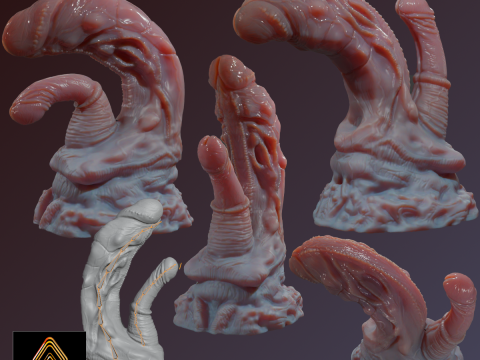 Fantasy Pathrax Dragon Penis Sextoy Rigged Model 3D