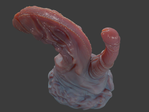 Fantasy Pathrax Dragon Penis Sextoy Rigged Model 3D