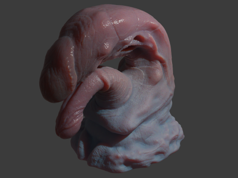 Fantasy Pathrax Dragon Penis Sextoy Rigged Model 3D