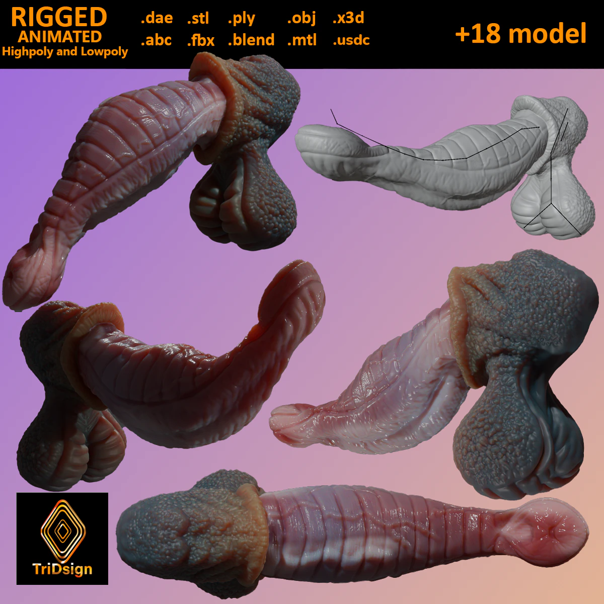 Fantasy Darintax Dragon Penis Rigged 3D Model .c4d .max .obj .3ds .fbx .stl .blend 