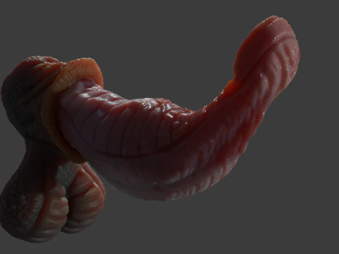 Fantasy Darintax Dragon Penis Rigged 3D Model