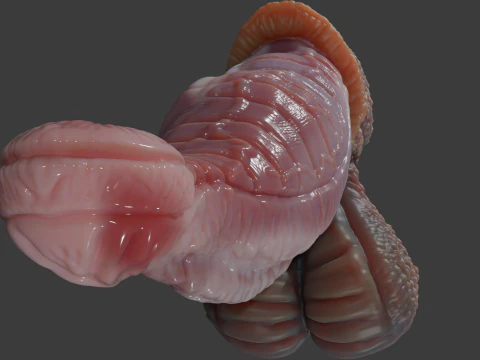Fantasy Darintax Dragon Penis Rigged 3D Model
