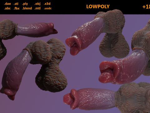 P&ecirc;nis de lobisomem meio revestido com Lowpoly Modelo 3D