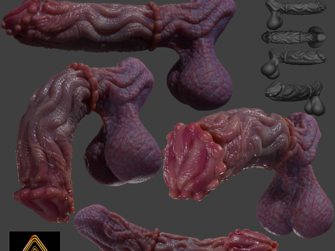 Fantasy Groknir Dragon Penis Rigged 3D Model