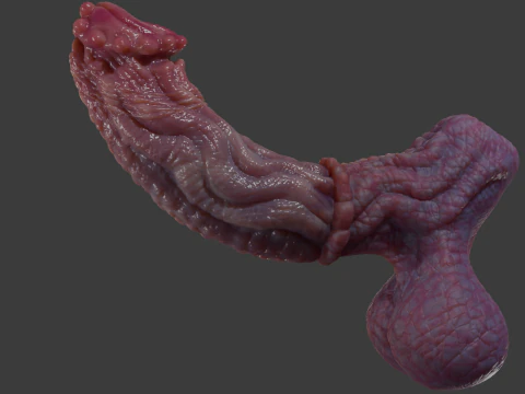 Fantasy Groknir Dragon Penis Rigged 3D Model