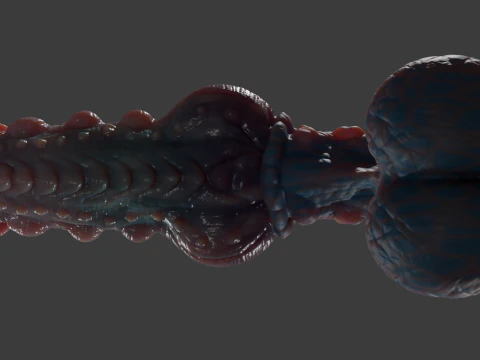 Fantasy Groknir Dragon Penis Rigged 3D Model