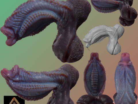 ファンタジー シムリ エイリアン ペニスとボール 装備 3Dモデル